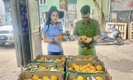 Lực lượng chức năng Hà Nội phát hiện 450kg cam có dấu hiệu nhập lậu