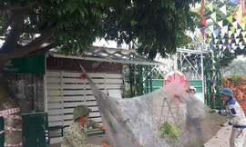 Chủ đầu tư Vườn sinh thái Phúc Thọ hoa bay tự nguyện tháo dỡ các công trình vi phạm trên đất nông nghiệp. 