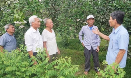 Người cao tuổi ở Hà Tĩnh trao đổi kinh nghiệm phát triển kinh tế