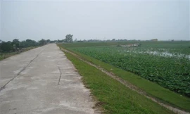 UBND TP. Hà Nội đã phê duyệt chỉ giới đường chỉ đỏ tuyến đường rộng 25m ở huyện Gia Lâm