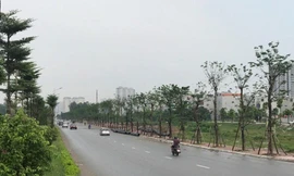 Tuyến đường trục kinh tế phía Nam là điểm cuối của tuyến đường Đỗ Xá- Quan Sơn