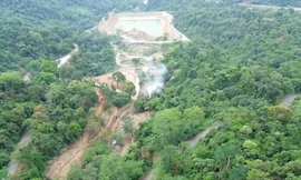 Chủ tịch Hà Nội yêu cầu làm rõ công trình xây dựng không phép tại Vườn Quốc gia Ba Vì