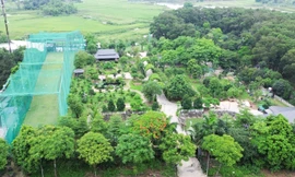 Hà Nội: Sân tập golf, nhà chòi trên đất nông nghiệp