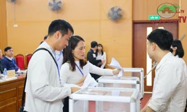 Hà Nội: Đấu giá thành công 35 thửa đất tại huyện ngoại thành với mức cao nhất 119 triệu đồng/m2