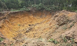 [VIDEO] Toàn cảnh vụ hủy hoại tài sản của người dân, trộm đất quy mô lớn ở Hà Nội