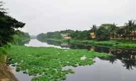 Giải thể Chi cục Bảo vệ môi trường tỉnh Hà Nam