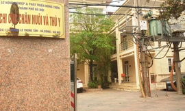 Chi cục Thủy sản Hà Nội sẽ sát nhập vào Chi cục Chăn nuôi và Thú y Hà Nội, đổi tên thành Chi cục Chăn nuôi, Thủy sản và Thú y Hà Nội.