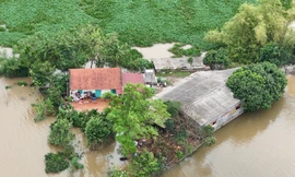 Hà Nội: Phát lệnh báo động lũ trên sông Cầu, sông Bùi trong đêm