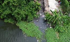 Vụ nhà máy nước sạch có hàm lượng Nitrit vượt ngưỡng: Giật mình nguồn nước đầu vào