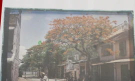 Ngắm những bức ảnh màu đầu tiên chụp Hà Nội từ năm 1915-1921