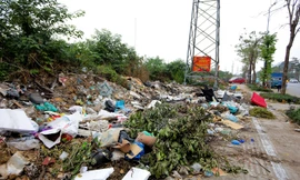 Phó Chủ tịch Hà Nội yêu cầu xử lý dứt điểm bãi rác lộ thiên trên đường Phạm Tu sau khi báo Tiền Phong phản ánh