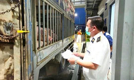 Hà Nội: Liên ngành đột xuất kiểm tra Công ty C.P trong đêm