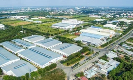 Giám sát chấp hành đình chỉ hoạt động với Công ty Intimex Việt Nam do vi phạm PCCC