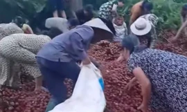 Hà Nội: Thực hư thông tin tranh nhau 'hôi vải' khi xe tải bị tai nạn giao thông