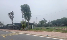 Hà Nội: Chụp ảnh sân bóng xây dựng trái phép, nữ nhân viên đê điều bị hành hung