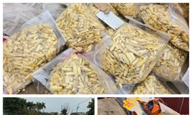 Tin mới vụ bãi rác bánh kẹo khổng lồ tại La Phù 