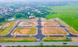 Hà Nội: Đất đấu giá tại huyện ngoại thành giảm 13,2 triệu đồng/m2