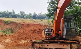 UBND TP. Hà Nội yêu cầu UBND các huyện, thị xã khẩn trương rà soát hiện trạng rừng và đất lâm nghiệp