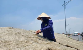 Người lao động ở Minh Khai đang phơi miến dong giữa trưa nắng