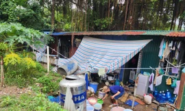 Ngừng cấp điện cho 29 trường hợp hoạt động trái phép trên đất dự án sau phản ánh của Báo Tiền Phong