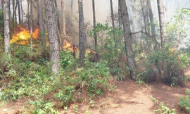 Cơ quan chức năng đang điều tra nguyên nhân xảy ra 2 vụ cháy rừng tại huyện Sóc Sơn, Hà Nội.