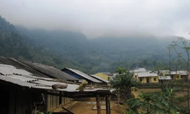 Thảm kịch đời hai chị em lấy chung chồng