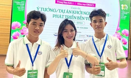 Độc đáo băng gạc y tế làm từ lục bình