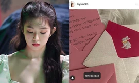 Hơn 15 người trong ngành lên tiếng bảo vệ Irene giữa tâm bão ồn ào lộng quyền