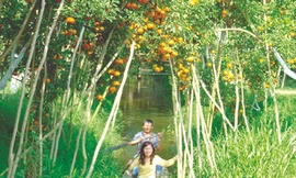 Đi tour trước Tết sắm đồ