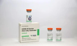 Chuyên gia nói về hàm lượng kháng nguyên trong vắc xin Vero Cell không thống nhất