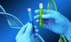 Bệnh viện Phụ sản Hà Nội công bố ca song thai cùng trứng cực kỳ đặc biệt, thế giới mới ghi nhận 1 trường hợp