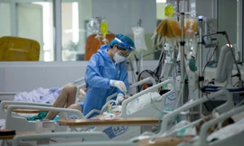 Ngày 28/1 thêm 14.929 ca COVID-19, Hà Nội có số ca mắc và tử vong cao nhất