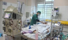 Bệnh nhân mắc liên cầu lợn nằm phòng hồi sức