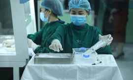 Một trong các công đoạn chuẩn bị bảo quản sữa tại Ngân hàng sữa mẹ Bệnh viện Nhi Trung ương. Ảnh: Văn Quyết