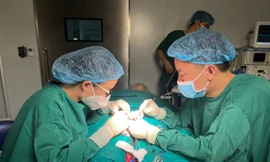 Mổ tinh hoàn tìm tinh trùng giúp chàng trai có cặp song sinh khỏe mạnh