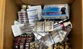 Mở đợt cao điểm chống thuốc giả, sữa giả, thực phẩm chức năng giả trên toàn quốc 