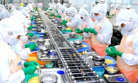 Sáu tháng nhập siêu hơn 685 triệu USD