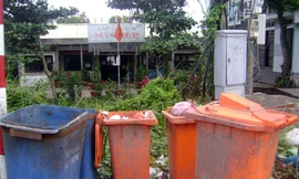 Trường mẫu giáo gần trại cá sấu!