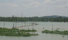 Mặt hồ Trị An bị bao chiếm trái phép