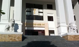 12 sư tử “lạ” ở trụ sở TAND