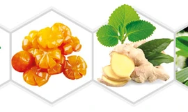 Dịch ép quả tắc, đường phèn kết hợp cao lá thường xuân, tinh dầu (gừng, húng chanh, tràm) giúp bổ phế, nhuận phế, giảm ho cho trẻ