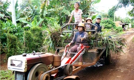 Chị H’ Yim lái xe công nông đi lấy cây ngô cho bò. Ảnh: Djuang Yên