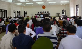 Xét xử vụ buôn lậu gỗ trắc ở Quảng Trị: Trả hồ sơ điều tra bổ sung