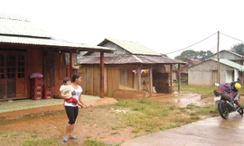 Cứu sống A Điêu