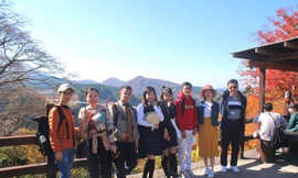 Chống dịch theo cách của du học sinh Việt: Chọn Tết xa nhà vì “ngồi yên là yêu nước“