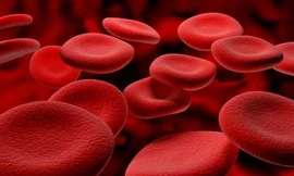 Những điều bạn nên biết về thiếu máu thiếu sắt