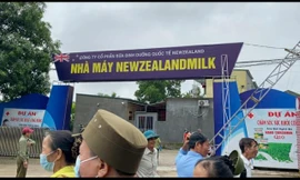 Công ty cổ phần sữa dinh dưỡng quốc tế Newzealand - đơn vị đứng ra tổ chức các chuyến tham quan miễn phí cho người già để bán sữa mập mờ về nguồn gốc, chất lượng