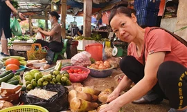 Những ngày này, măng rừng có mặt trên các sạp ở hầu hết các chợ truyền thống của Thủ đô.