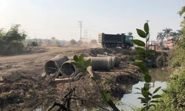 Hạt Quản lý đê Kim Thành liên tiếp lập biên bản với hành vi xâm phạm đê điều của Cty Thế Anh.