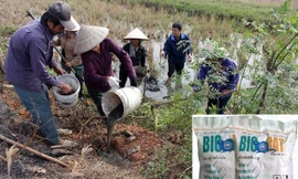 Thành phố Thanh Hóa đã dừng sử dụng thuốc diệt chuột bị cấm lưu hành Biorat